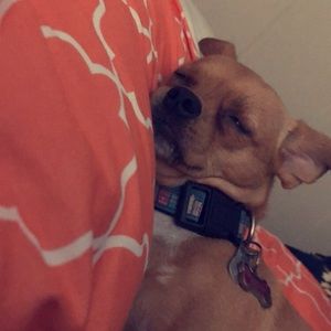 Meet your Posher, Carley